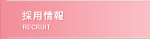 採用情報